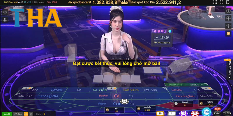 live-casino-thabet-ku-casino